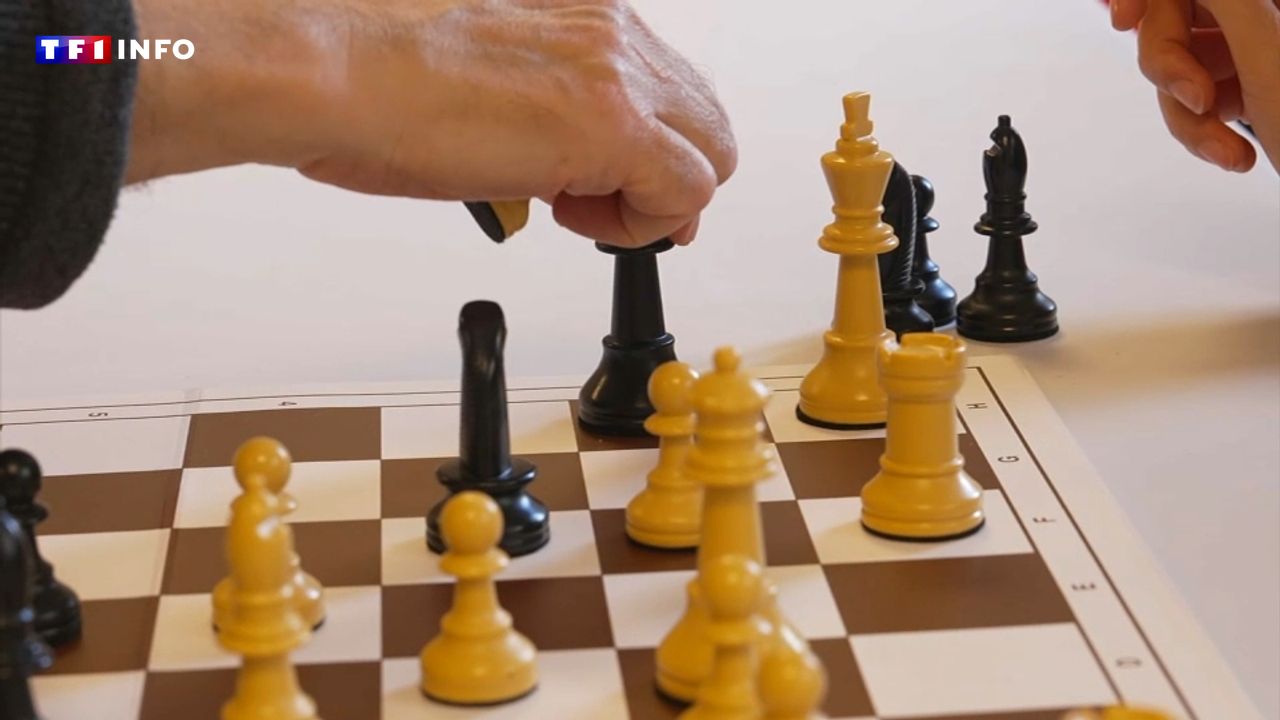 Surpreendente! Estudo revela a idade em que atingimos o pico da inteligência — é quando finalmente aprendemos a relativizar